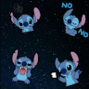 Meet your Posher, Danica